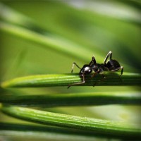 /album/viviana-velez0/photolia-a05-jpg/