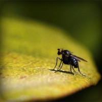 /album/viviana-velez0/photolia-a07-jpg/